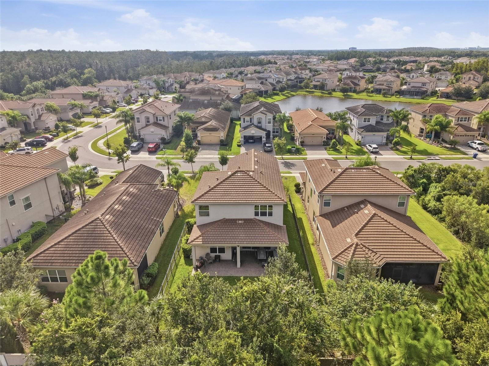 30980 LINDENTREE DR — photo 26