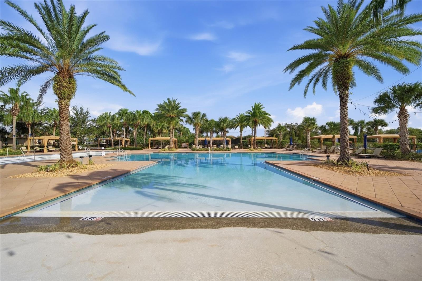 30980 LINDENTREE DR — photo 48