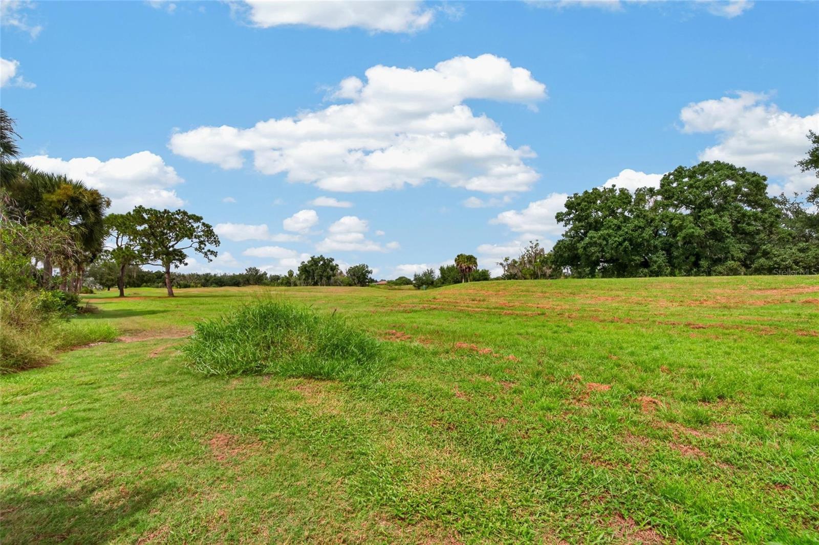 818 KING LEON WAY — photo 48