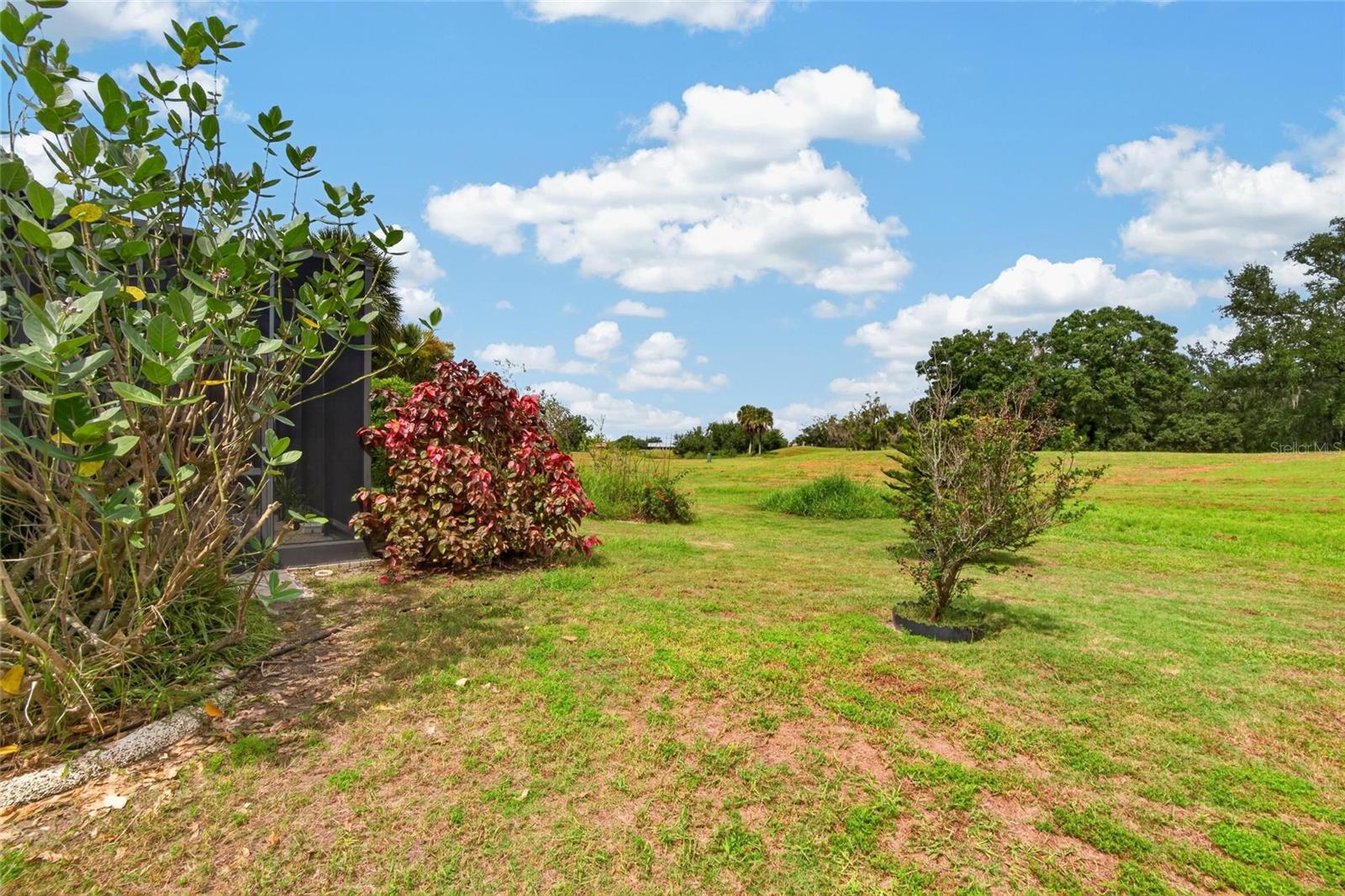 818 KING LEON WAY — photo 46