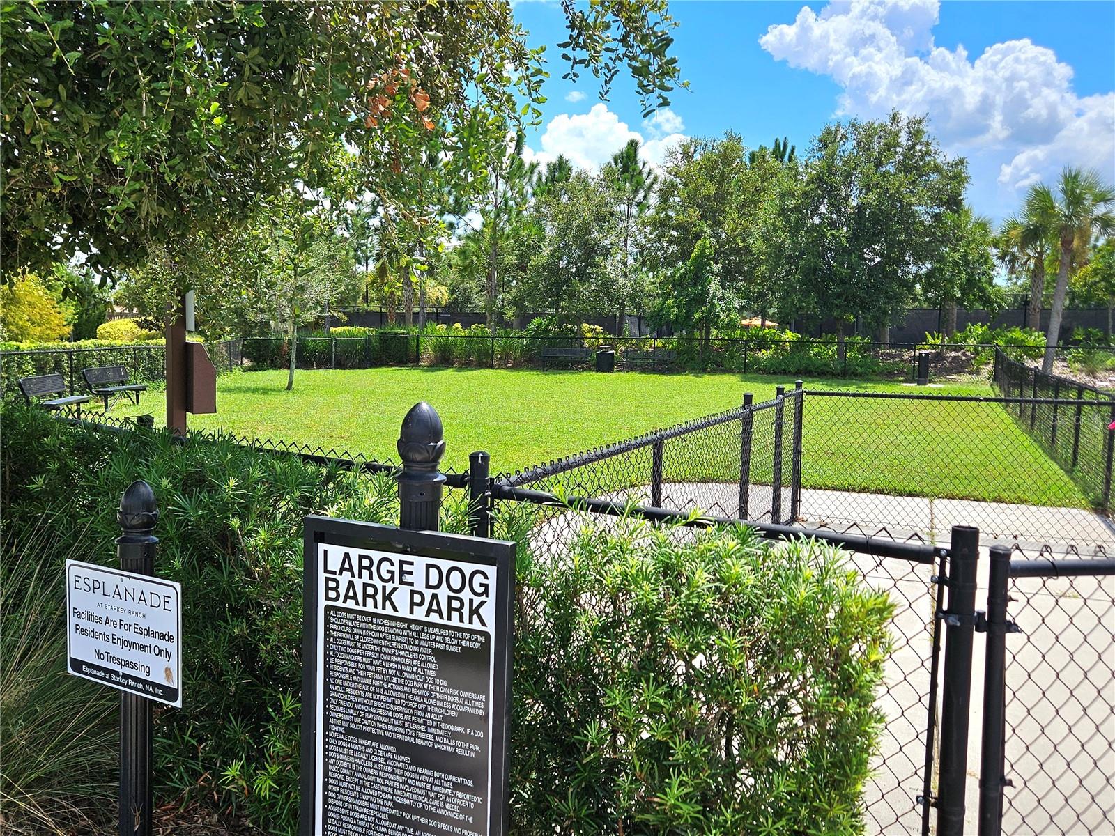 3390 FRANCOA DR — photo 71