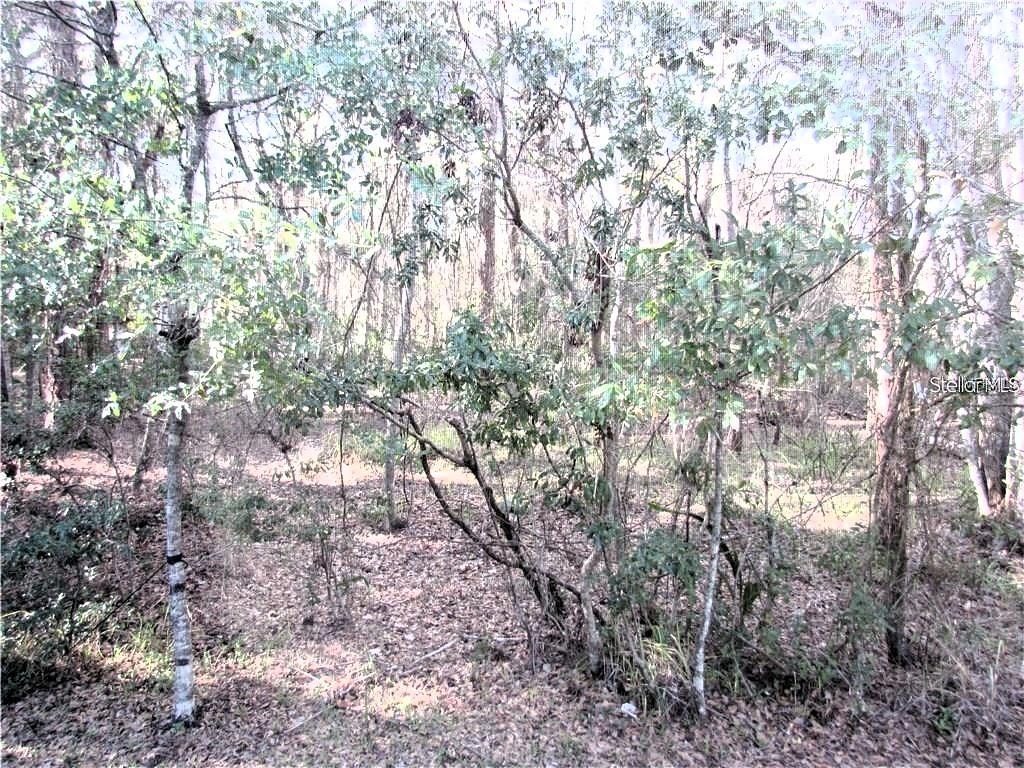 4343 LAKESHORE DR — photo 41