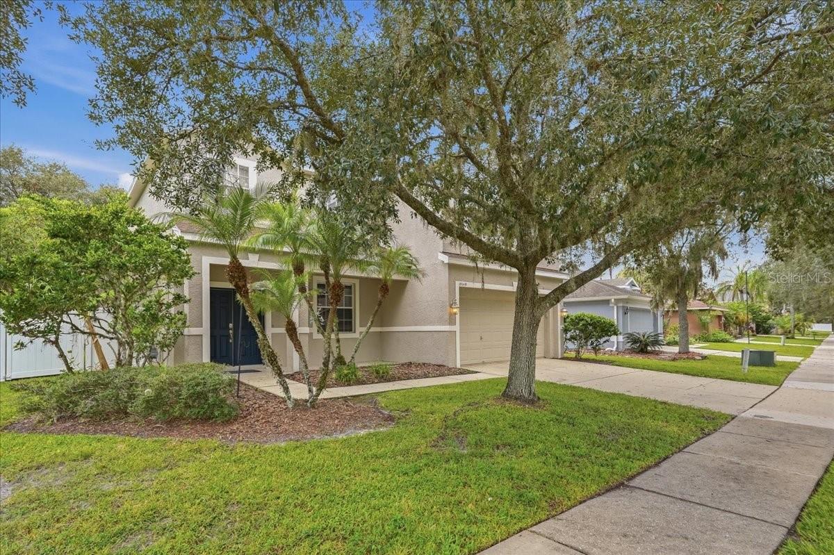 19149 DOVE CREEK DR — photo 8