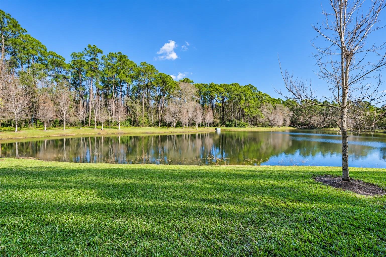 5527 CUMBERLAND STAR CT — photo 14