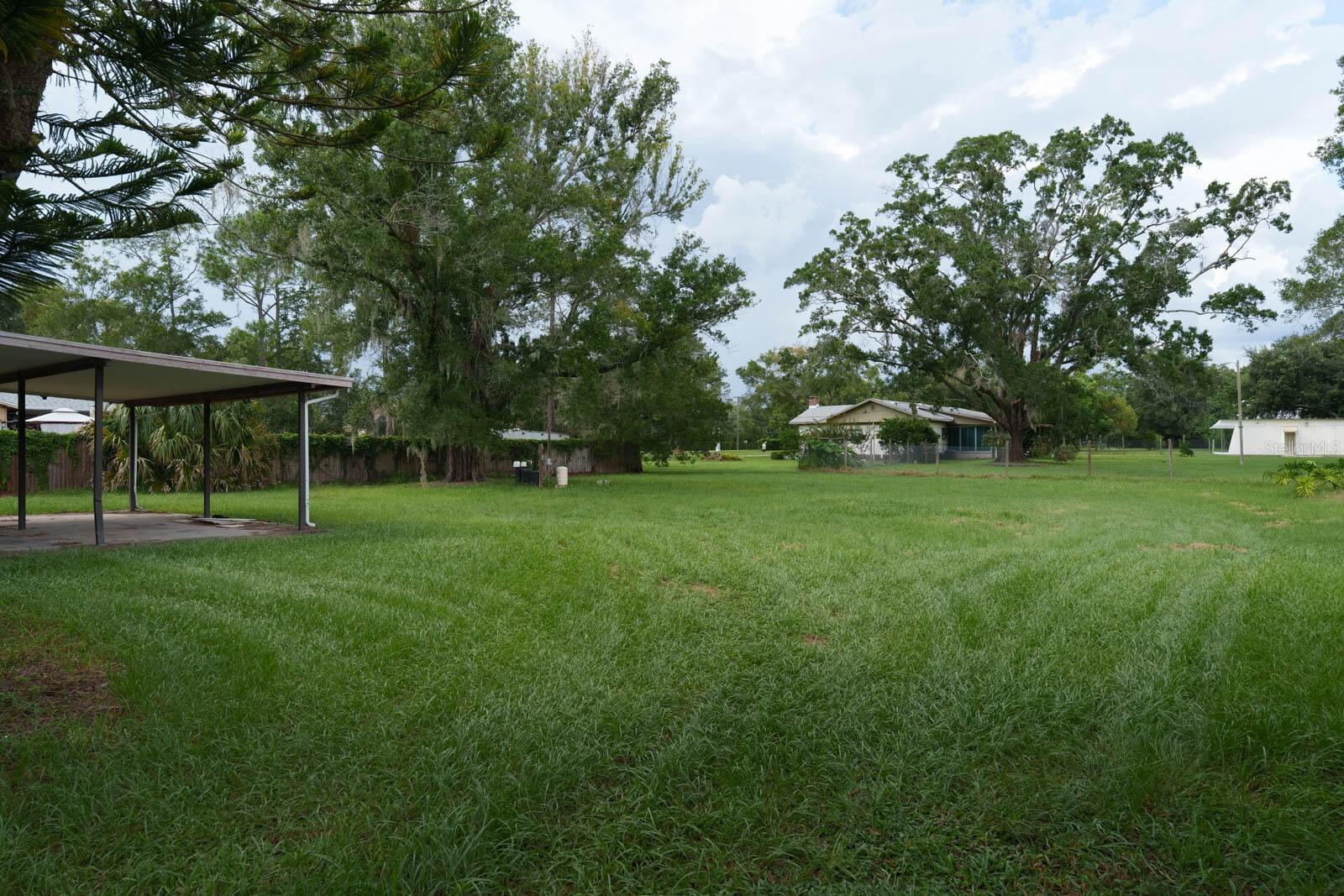 1005 GRANDADDY LN — photo 3