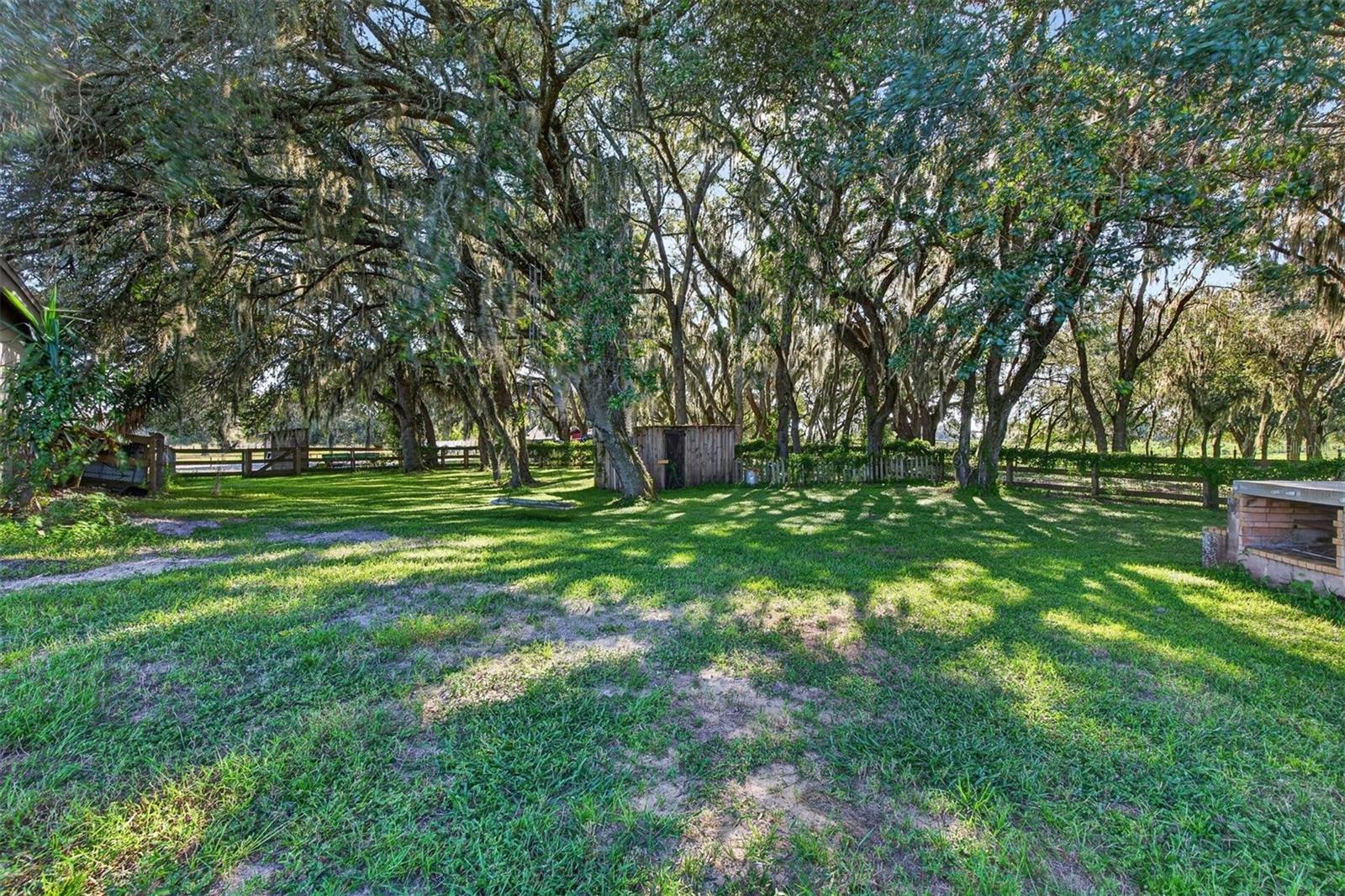 15818 MAHONEY DR — photo 35