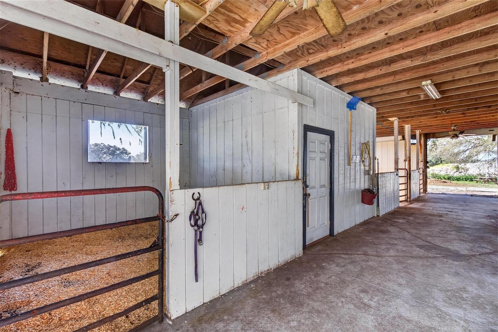 15818 MAHONEY DR — photo 33