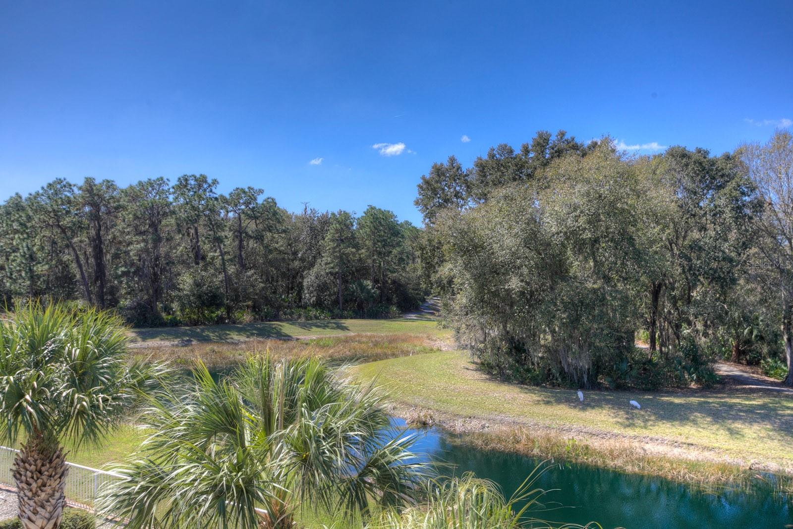 19221 ROBIN PERCH LN — photo 87