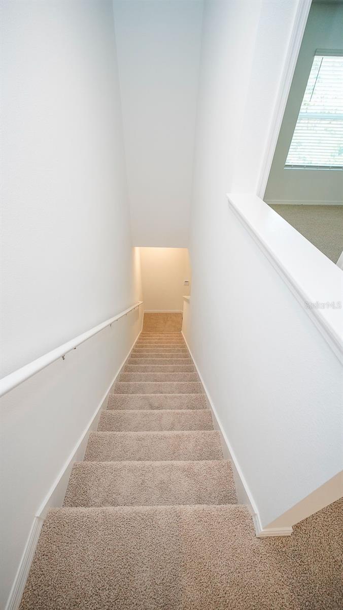 32533 MIDSUMMER NIGHT LN — photo 15