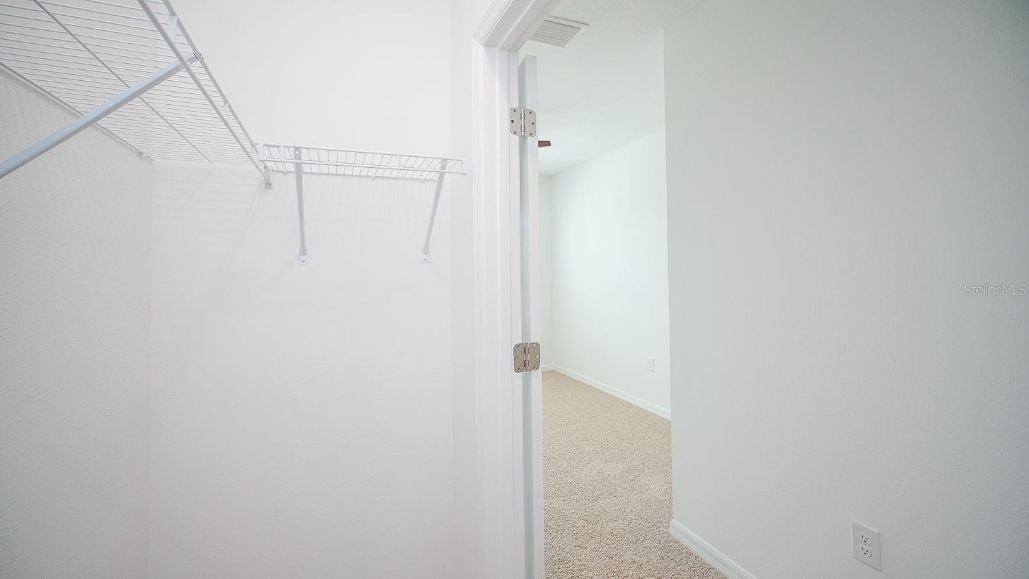 32533 MIDSUMMER NIGHT LN — photo 39