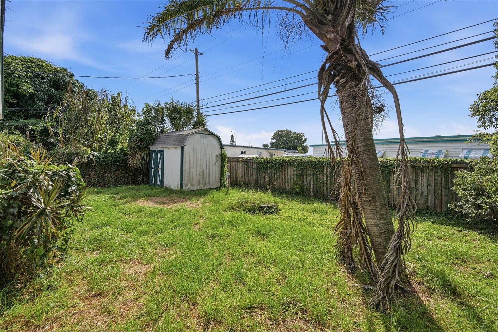 254 PLUMOSA DR — photo 13