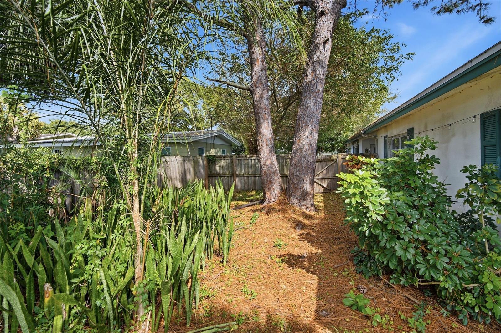 254 PLUMOSA DR — photo 15