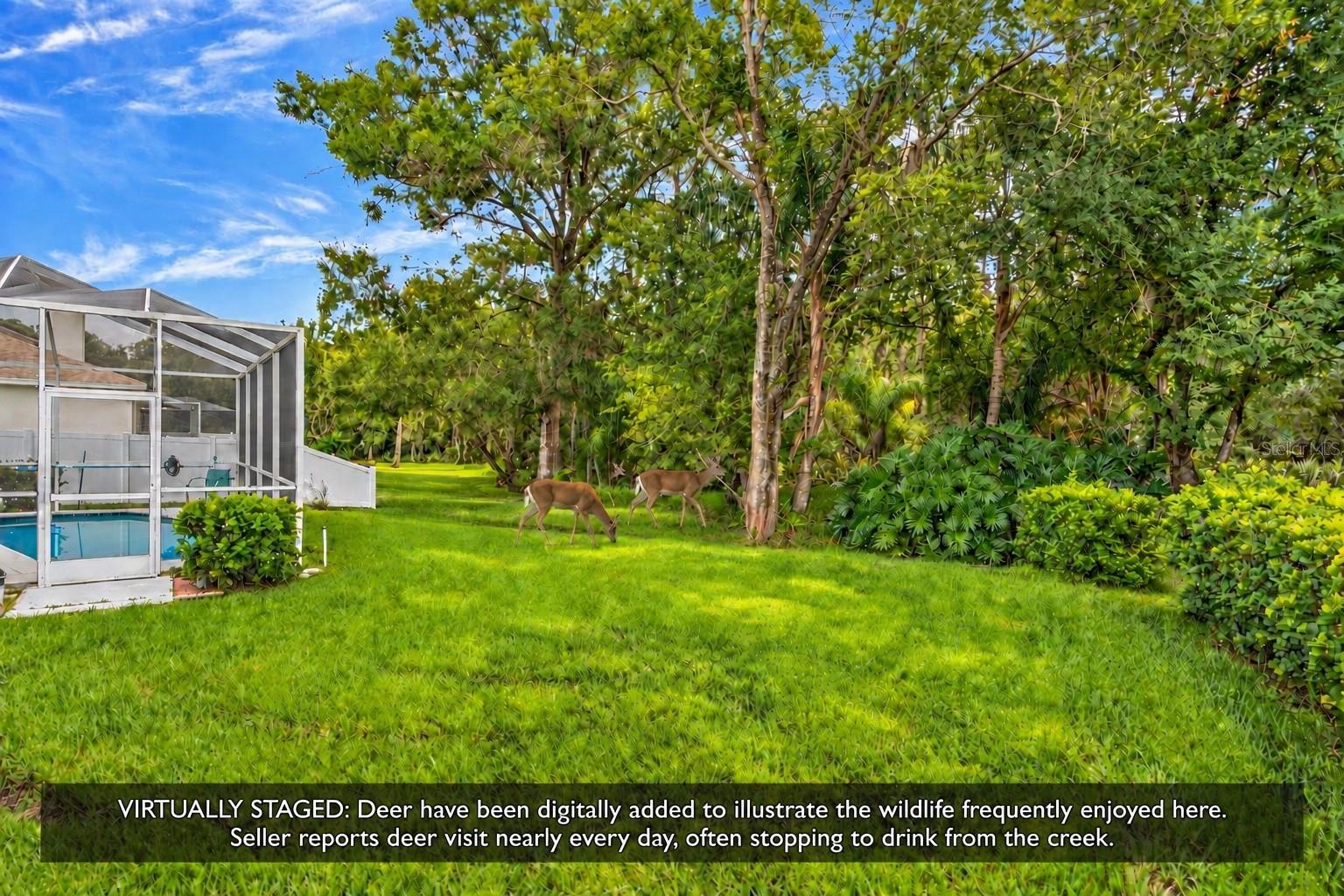 15709 MUIRFIELD DR — photo 18