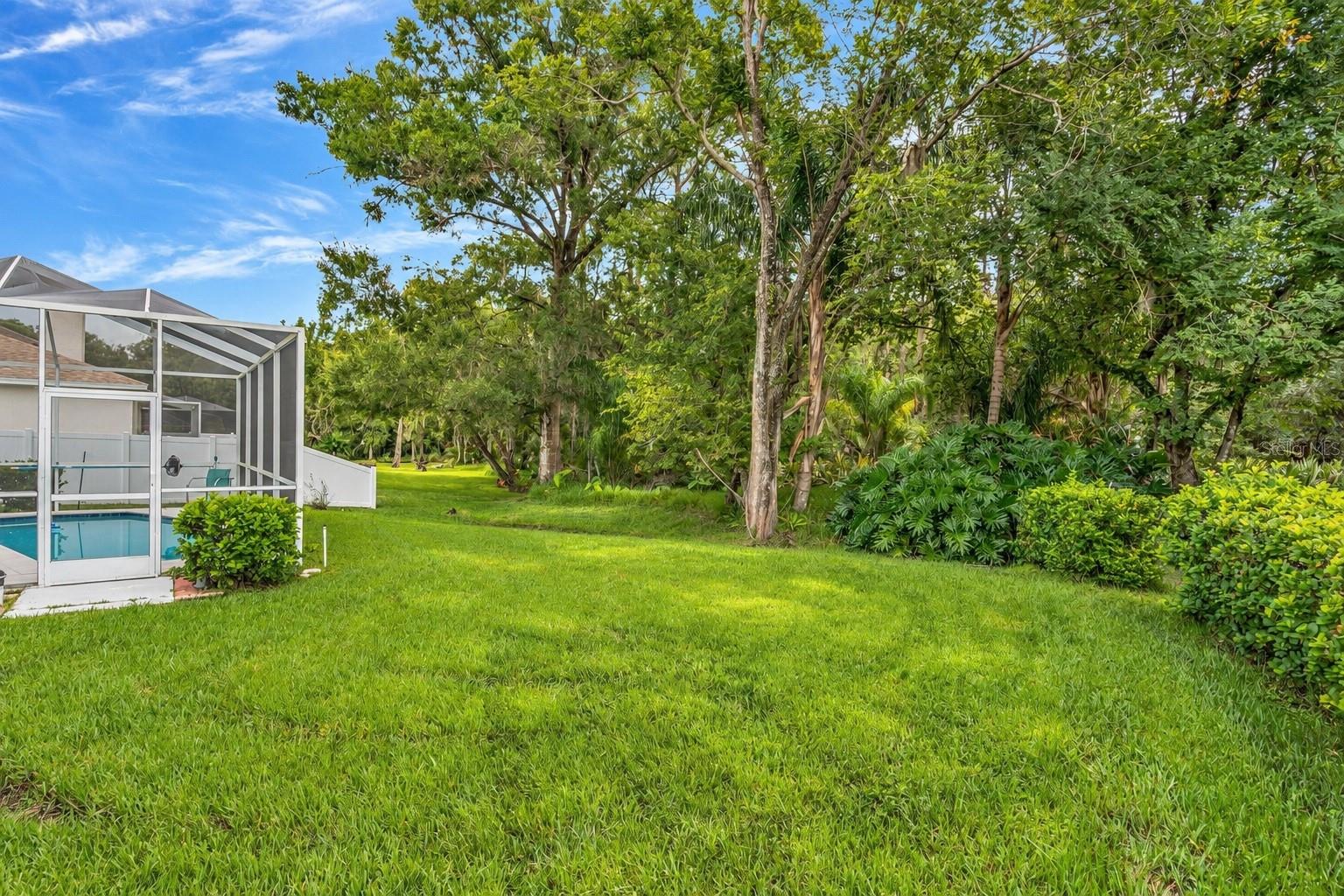 15709 MUIRFIELD DR — photo 17