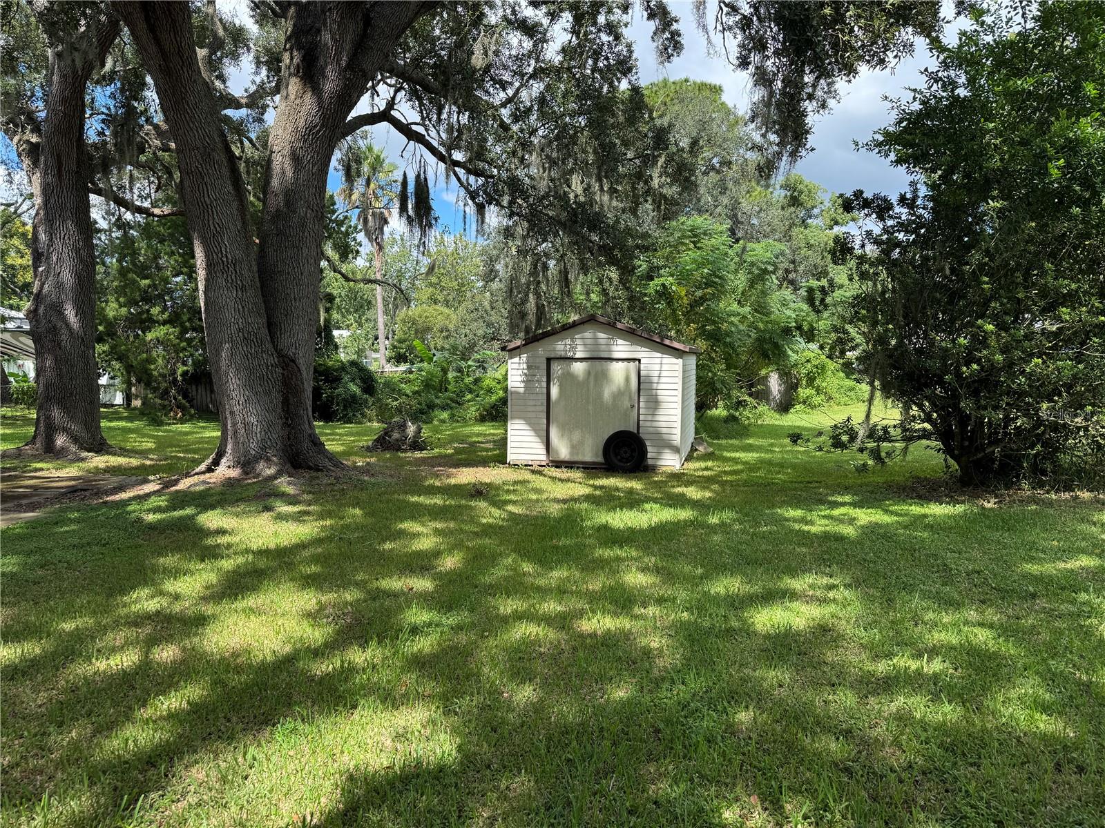 9613 ANDY DR — photo 6