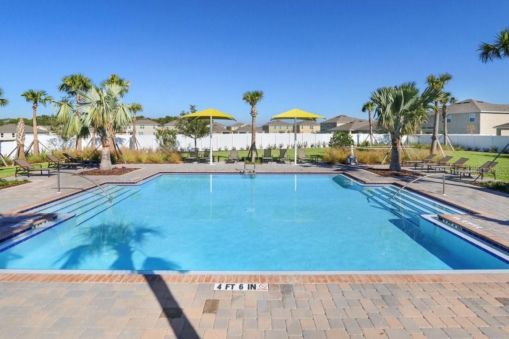 10149 GEESE TRAIL CIR — photo 43