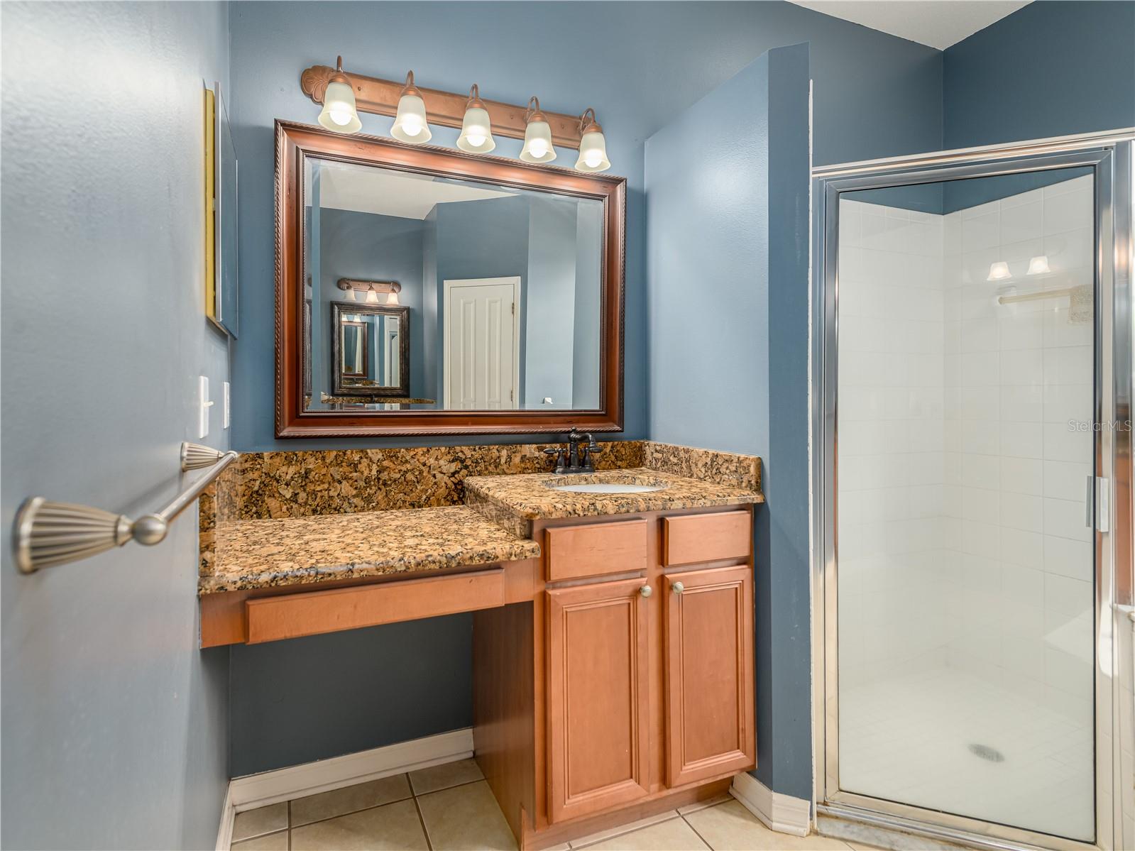 4313 ORANGE RIDGE CT — photo 24