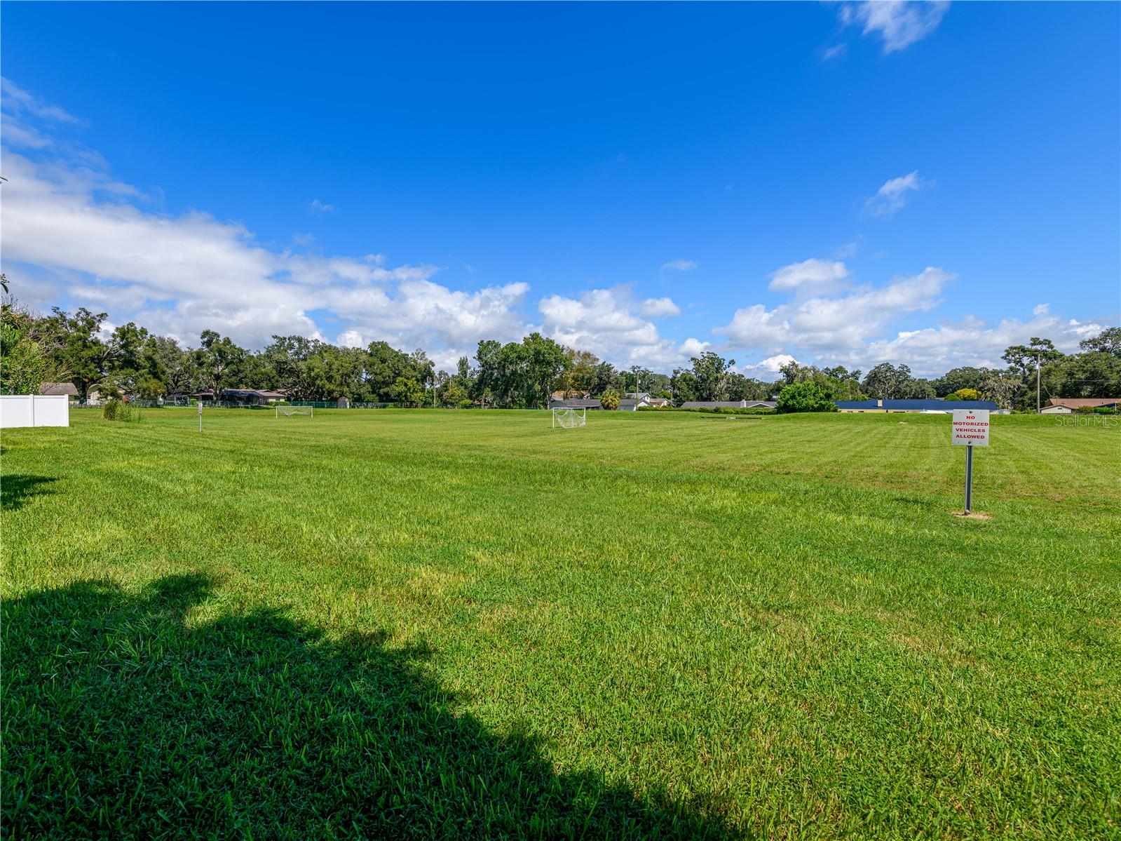4313 ORANGE RIDGE CT — photo 47