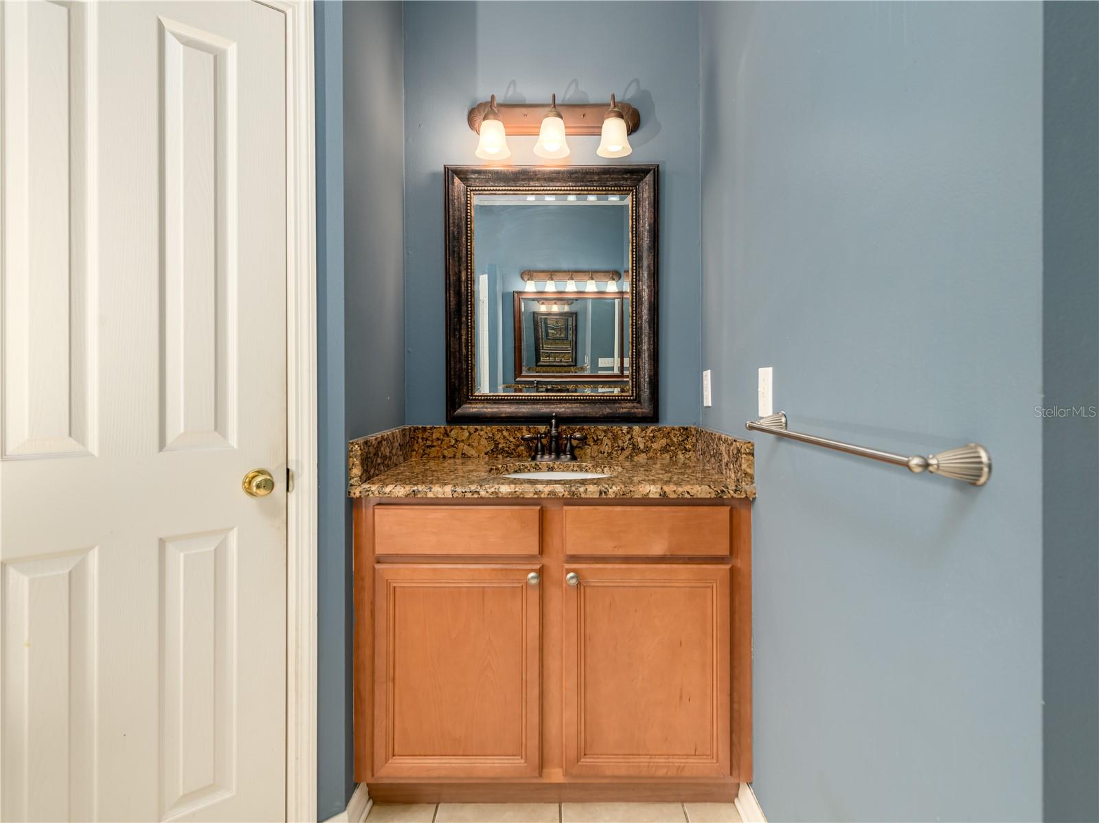 4313 ORANGE RIDGE CT — photo 27