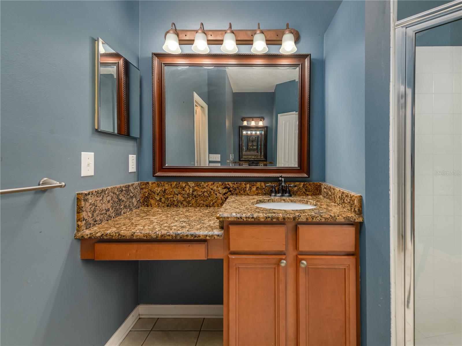 4313 ORANGE RIDGE CT — photo 26