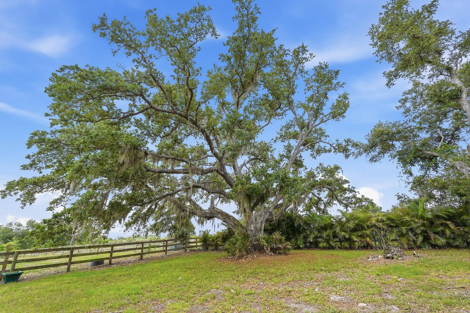 1576 RANCH RD — photo 13
