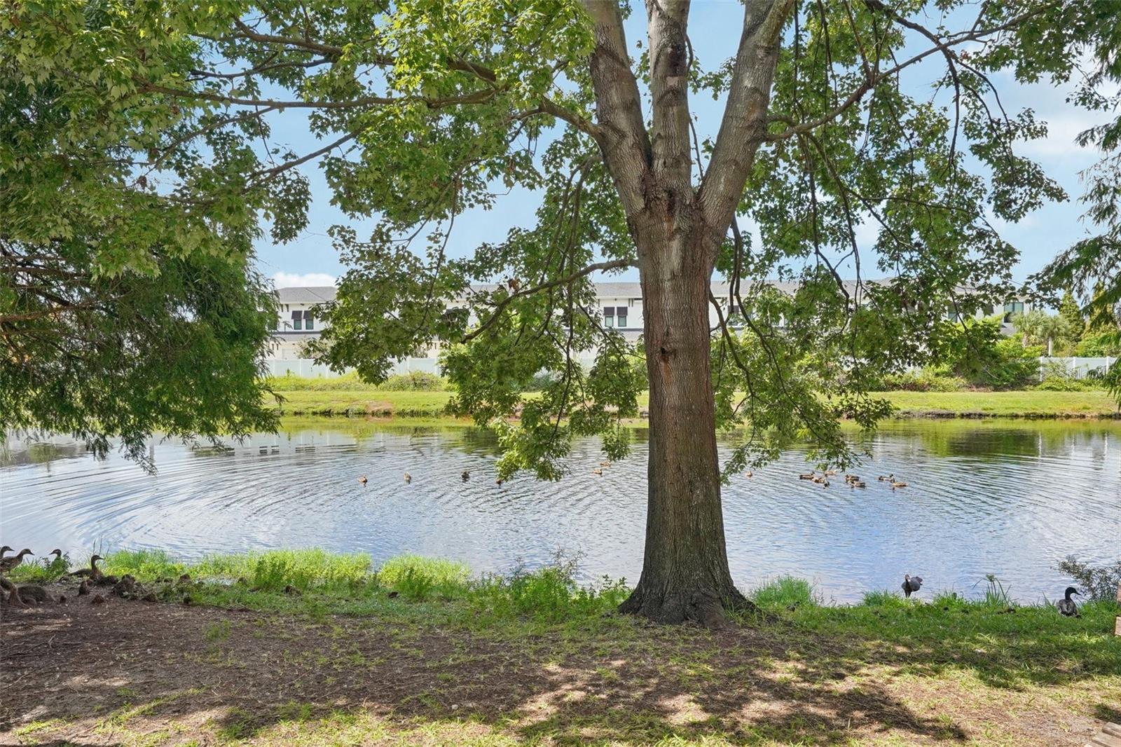 4935 WHITE SANDERLING CT — photo 44