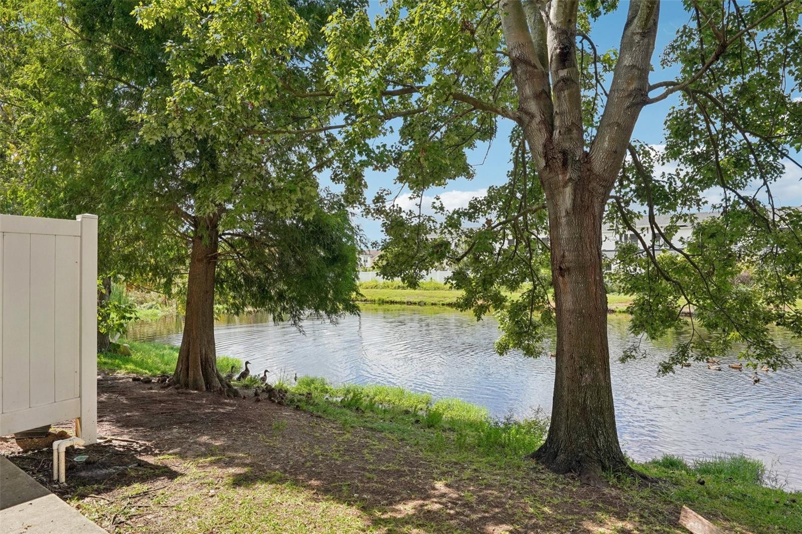 4935 WHITE SANDERLING CT — photo 45