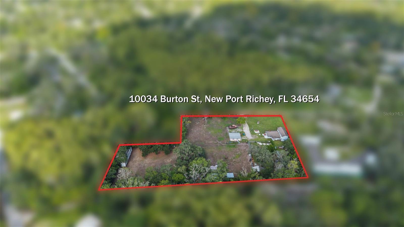 10034 BURTON ST — photo 14