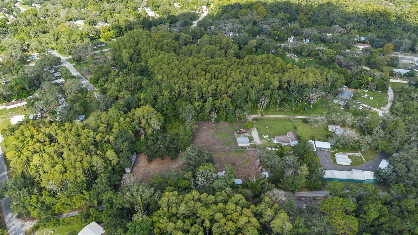 10034 BURTON ST — photo 5