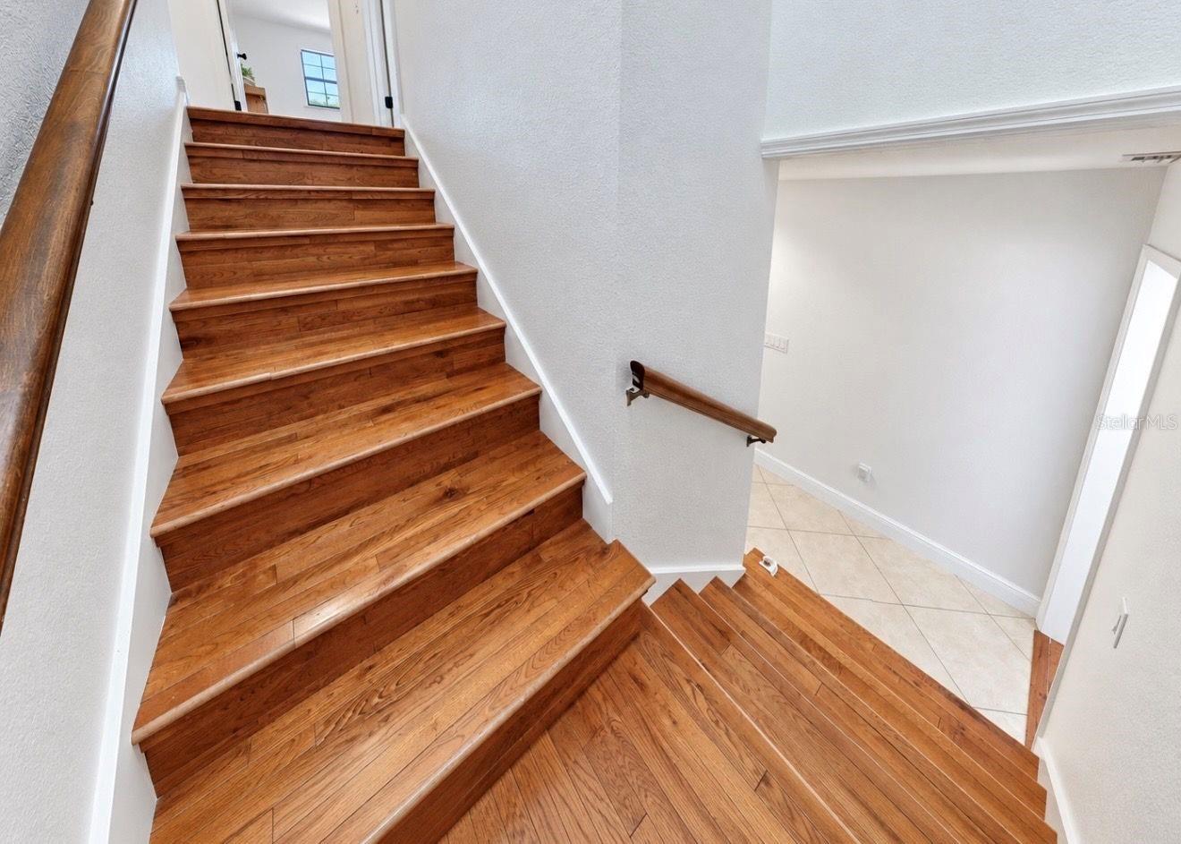 2818 SPRINGDELL CIR — photo 32