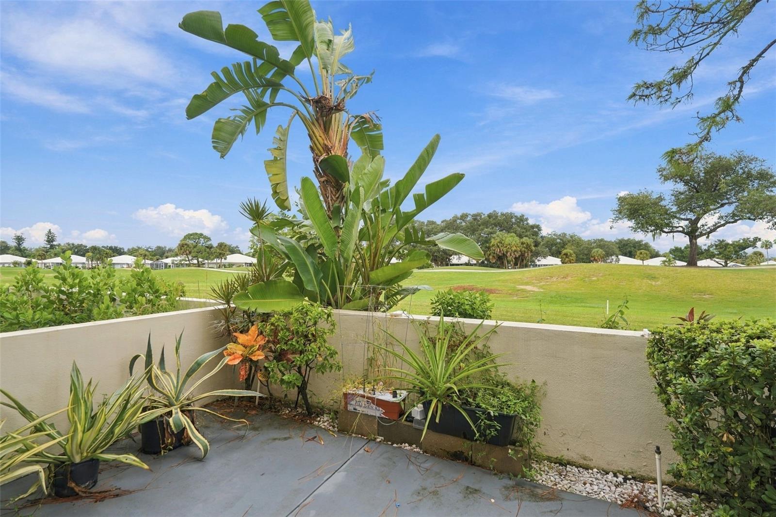 431 CERROMAR LN #347 — photo 32