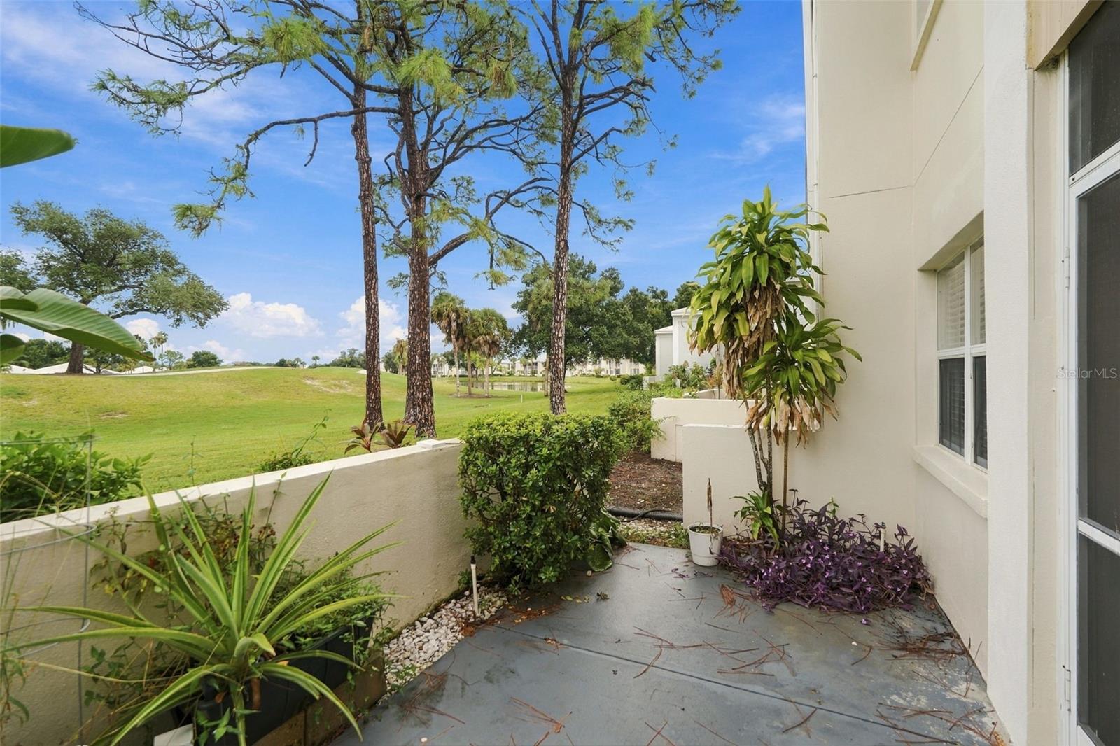 431 CERROMAR LN #347 — photo 33