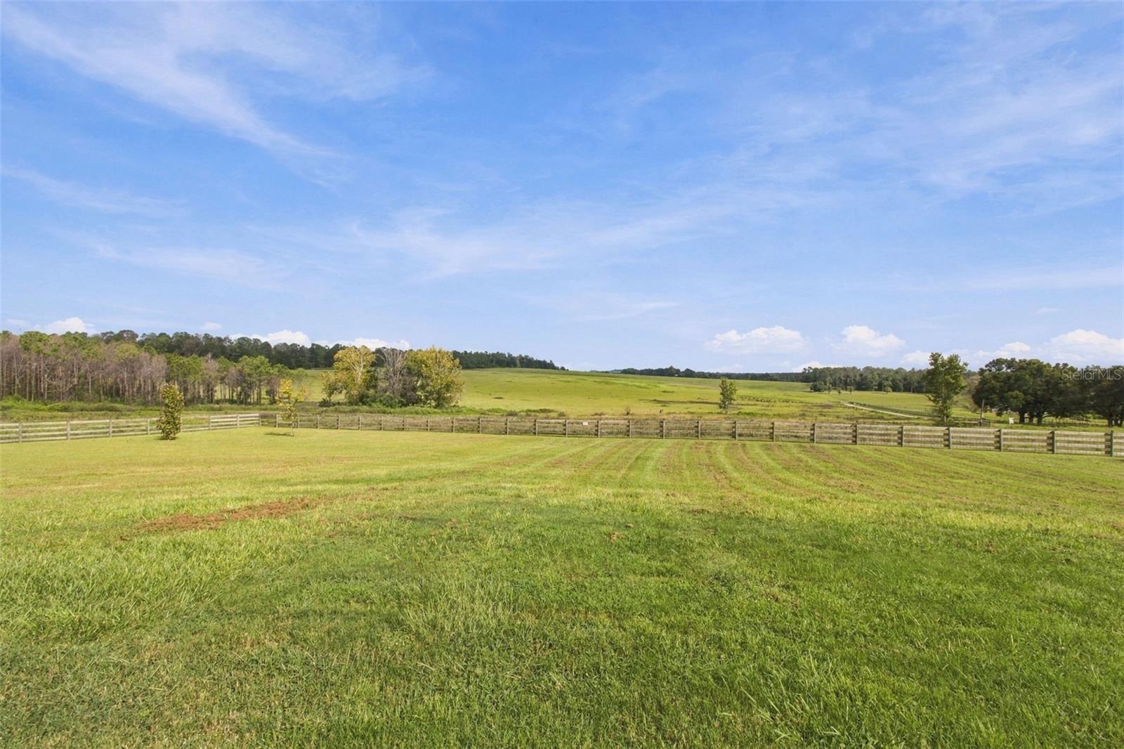 16705 HILLTOP HORIZONS PL — photo 12