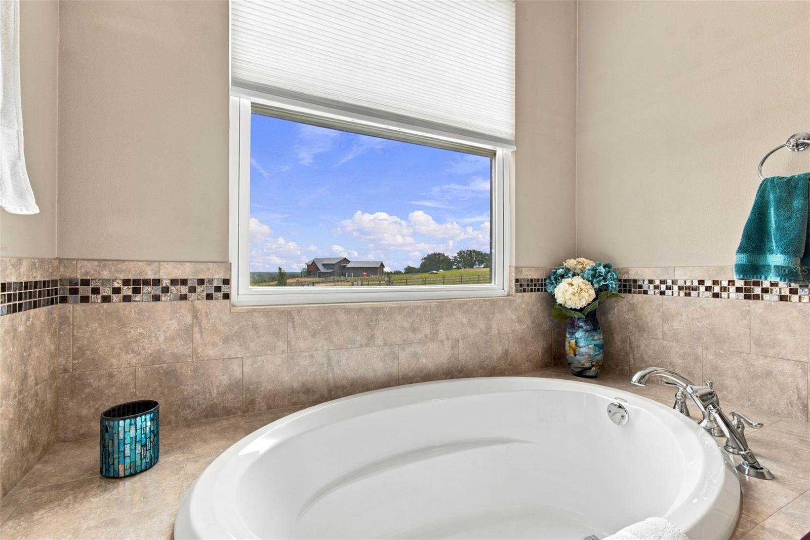 16705 HILLTOP HORIZONS PL — photo 21