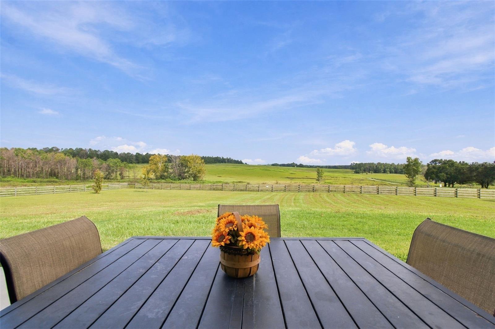 16705 HILLTOP HORIZONS PL — photo 11