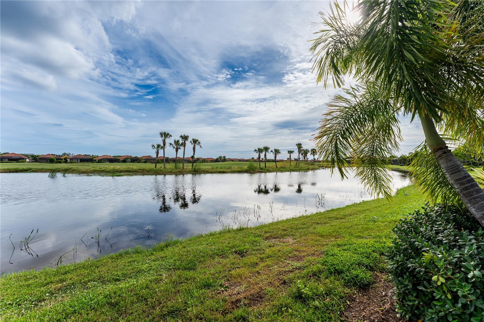 10733 TARFLOWER DR — photo 33
