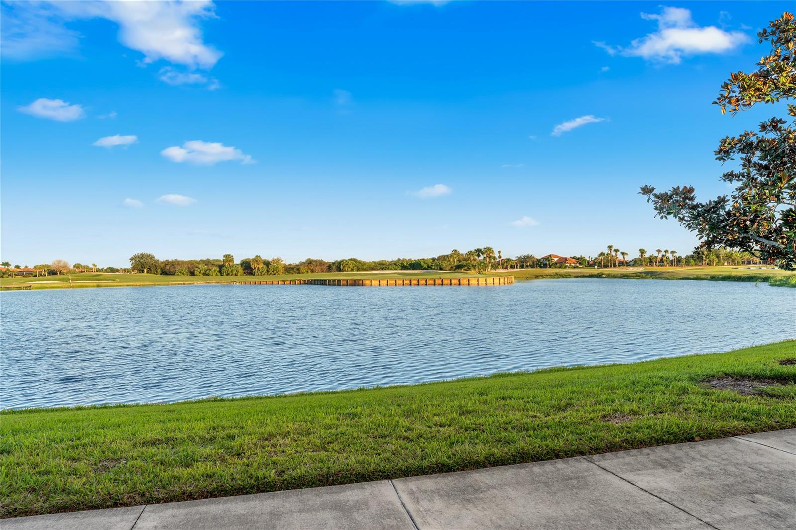 10733 TARFLOWER DR — photo 59