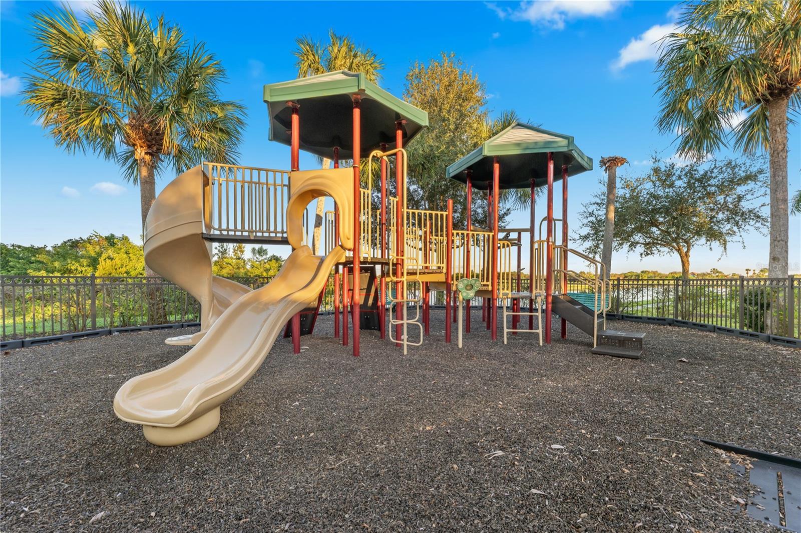 10733 TARFLOWER DR — photo 66