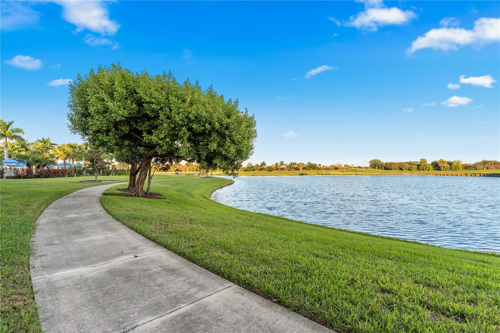 10733 TARFLOWER DR — photo 58