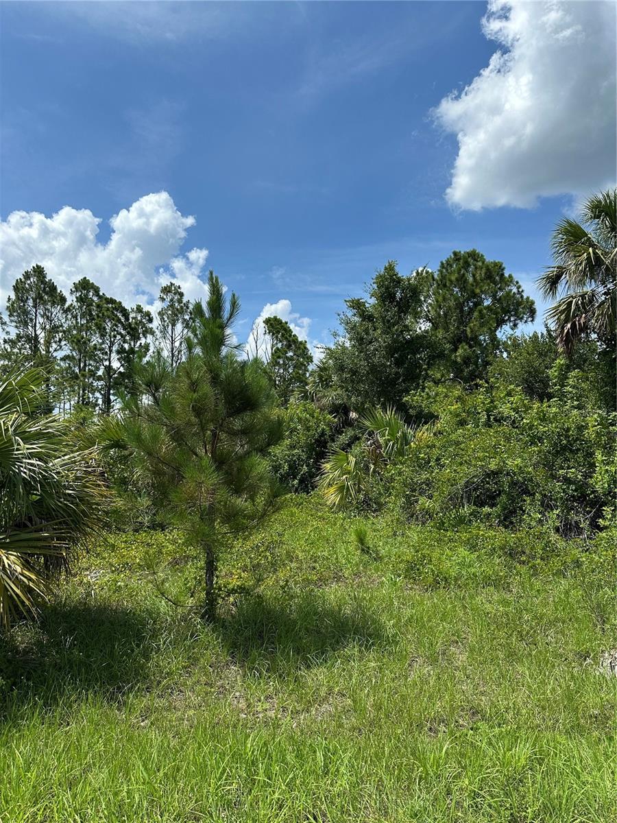 Lot 10 LANGLAIS DR — photo 9
