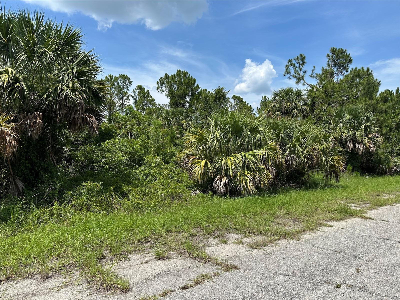 Lot 10 LANGLAIS DR — photo 5