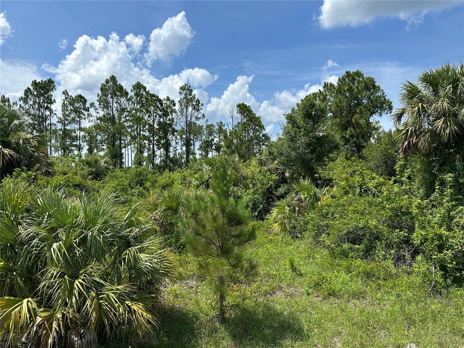 Lot 10 LANGLAIS DR — photo 4