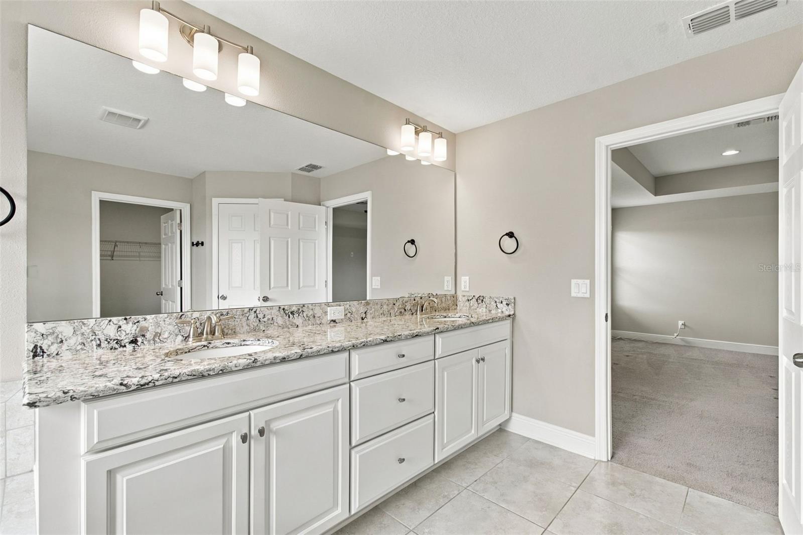 16159 MONTEREY GREENS CIR — photo 55
