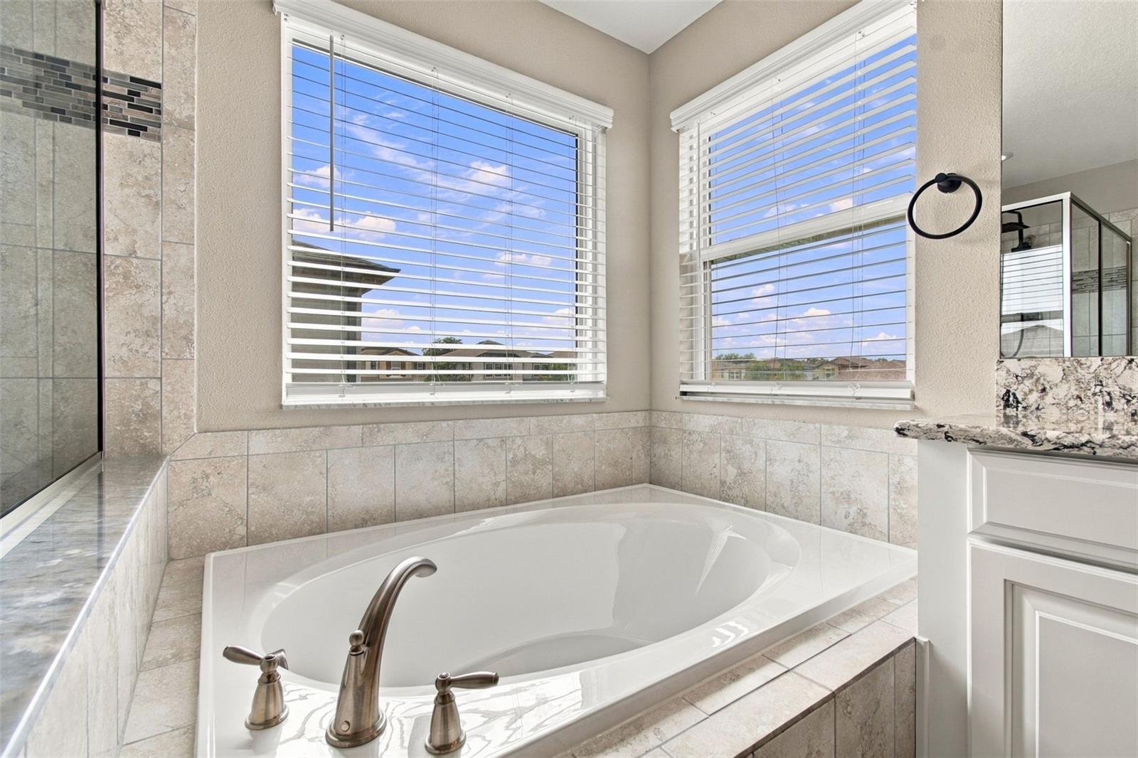 16159 MONTEREY GREENS CIR — photo 59