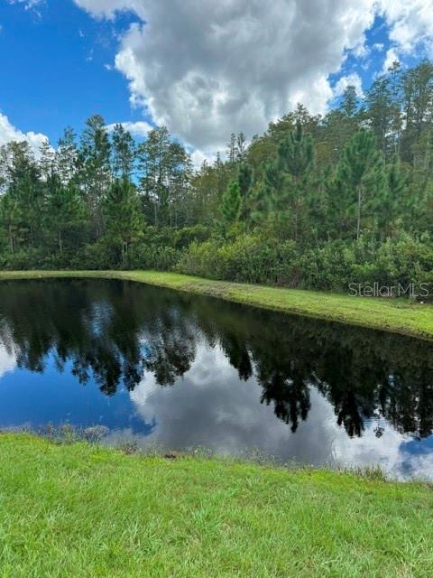 17222 MANGO SHAY CT — photo 23