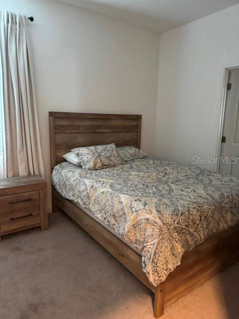 17222 MANGO SHAY CT — photo 18
