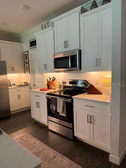 17222 MANGO SHAY CT — photo 17
