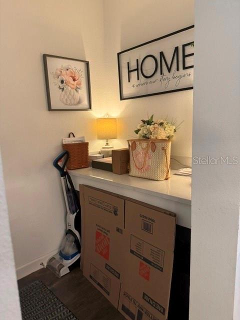 17222 MANGO SHAY CT — photo 13