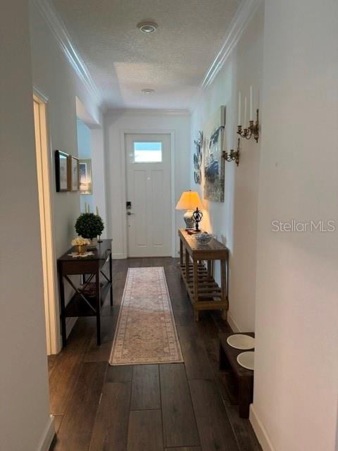 17222 MANGO SHAY CT — photo 6