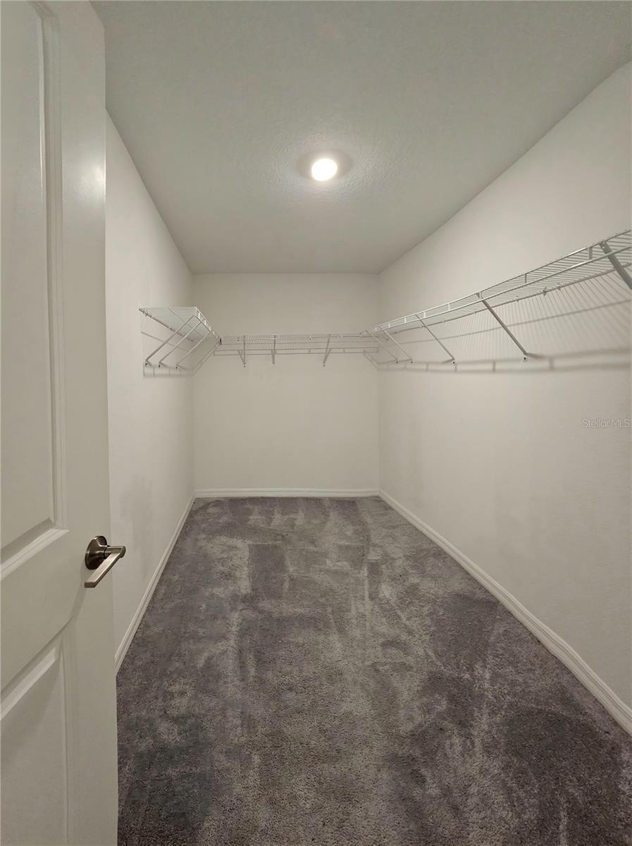 13124 CALCITE BLUE AVE — photo 11